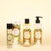 Panier des Sens - Provence Eau de Toilette - Valentines Day Gifts for Women - Light Perfume for Women Fresh Fruity Fragrance - Gift Ideas for Her - Parfum Made in France - Hair & Body Spray 1.7 Floz - Buy Online on GoSupps.com