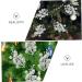 HOMSFOU 20pcs Foam flower arrangement artificial Christmas Picks xmas berries decorations cutting Christmas Tree Picks artificial fruit decorate Artificial Berry crafts berry branch Silver 19X5X5CM - Buy Online on GoSupps.com