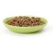 PetRageous Silly Kitty Cat Saucer and Bowl - Fun & Functional Dining Set for Cats - Buy Online on GoSupps.com