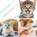 2 Pieces Soft Silicone 360-Degree Dog Toothbrush Set | Dental Care for Pets & Cats | Oral Hygiene Deep Cleaning - Buy Online on GoSupps.com