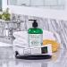 Archipelago Botanicals Morning Mint Hand Wash - Gentle Daily Soap, Cleanse and Hydrate (17 fl oz) - Buy Online on GoSupps.com
