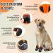 Buy Slowton Dog Shoes - Waterproof Non-Slip Boots for Small Medium Dogs | Reflective Velcro Fasteners | Size 5 (S-Orange) - Paw Protection for Winter Outdoor Use - Buy Online on GoSupps.com