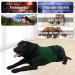 Shop Kittystar XL Breathable Dog Shirt - Calming Coat for Thunderstorms Fear Vest & Jacket in Green | Puppy Anxiety Relief - Buy Online on GoSupps.com