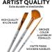 Premium 16-Piece Artist Paint Brush Set with Bonus Tools and Case - Ideal for Watercolor, Oil, Acrylic Painting - for Kids, Adults, Professionals - Buy Online on GoSupps.com