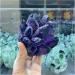 Crystals 1pc Natural Rare Purple Quartz Crystal Cluster Specimen Stone Collection - Buy Online on GoSupps.com