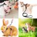Yutou Soft Cat Dishes & Adjustable Leash Set - Outbreak-Proof Harness for Kittens Puppies & Rabbits - Buy Online on GoSupps.com