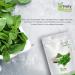 Yang mint powder (100g) (pudina powder) super food and healthy use for drinks juices and sprinkle on dishes. - Buy Online on GoSupps.com