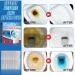 Toilet Bowl Cleaner 12PCS Toilet Cleaning Tablets Toilet Cleaner Tabs Toilet Cleaner Active Tablets Limescale Remover Toilet Deep Clean without Scrubbing Remover Deposits and Bad Odours - Buy Online on GoSupps.com