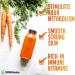 Buy XPRS Nutra 100% Natural Carrot Juice Powder - Pure Non-GMO Carrot Powder from USA for Juices & Smoothies - High in Vitamin A & Antioxidants - 16 oz - Buy Online on GoSupps.com