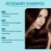  NACGYUDP Rosemary Shampoo - Regulates sebum production and reduces dandruff gentle formula for daily use cleanses the scalp refreshing suitable for all hair types (2 pcs) - Buy Online on GoSupps.com