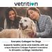 Vetrition Everyday Collagen for Dogs - Joint Supplements for Hip & Joint Care - Improves Skin, Mobility - Vet Approved - 150g Powder - Buy Online on GoSupps.com