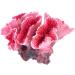 UEETEK Pink Corals for Aquarium Decoration | Vibrant Underwater Elegance - Shop Internationally! - Buy Online on GoSupps.com