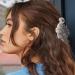 Sirseon Animal Hair Clips | Cartoon Acrylic Hair Jaw Clamps | Fashionable Creative Acrylic Hair Accessories For Toddler Kids Children Daily Use Ankylosaurus - Buy Online on GoSupps.com