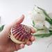 Solid Perfume - Cedarwood Myrrh & Clove Fragrance All Natural & Organic (.35 oz) Cedarwood Myrrh & Clove 1 Count (Pack of 1) - Buy Online on GoSupps.com