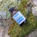 Code Blue Coon Urine 2oz - Premium Scent Lure for Hunting Success - Buy Online on GoSupps.com