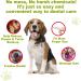 DR. EASY Dental Care Finger Pads 160ct for Dogs & Cats | Plaque & Tartar Removal | Chemical-Free No Brush Needed | Pack of 2 - Buy Online on GoSupps.com