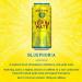Guayaki Yerba Mate Organic Drink Bluephoria 15.5 Ounce Cans (Pack of 12) 150mg Caffeine Alternative to Coffee Tea and Energy Drinks - Buy Online on GoSupps.com