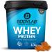 Bodylab24 Whey Protein Powder Toffee 1kg Toffee 1 kg (1 pack)