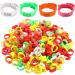 Fenteer 100 St e Adjustable Chicken Rings | 2.8 cm Foot & Leg Rings for Chickens Geese & Ducks - Durable Orange Clip Rings - Buy Online on GoSupps.com