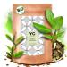 Yc Yang Chai Bio Bio White Tea Lose 200g - Pai Mu Weisser Tea White Leaves - Organic White Tea - bottled and checked in Germany (DE - KO -039) 200 g