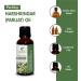 100% Pure Harshringar (Parijat) Essential Oil - Uncut Therapeutic Grade - 100ml (3.38 fl. oz) - Natural Aromatherapy Oil for International Shipping - Buy Online on GoSupps.com