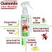 Chamomilo Lice Buster Spray - Effective Head Lice and Nits Treatment | Fast International Shipping - Buy Online on GoSupps.com