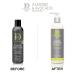 Buy Design Essentials Almond & Avocado Daily Hair Moisturizing Lotion - Nourishing Jojoba & Olive Oil 12 oz | International Shipping - Buy Online on GoSupps.com