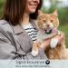 Apple AirTag Cat Neck Band - Light Tracker for Kittens & Puppies 7-9 inch (Rose) | Secure Your Pet! - Buy Online on GoSupps.com