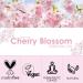 Cherry Blossom Essential Oil 120ml (4 Fl Oz) Pure & Natural Cherry Blossom Fragrance Oils Aromatherapy Cherry Blossom Oils for Diffuser Candle Making Soap Perfume - Buy Online on GoSupps.com