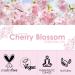 SALKING Cherry Blossom Essential Oil 120ml - Pure & Natural Fragrance for Aromatherapy, Diffuser, Massage, Soap, Candle Making, Perfume - Buy Online on GoSupps.com