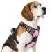 Rabbitgoo dog harness medium -sized dogs dog harness without train adjustable dishes dog without chokes anti -pull dog harness with handle soft padded reflective chest harness pink m (1 Pack) pink