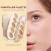 Makeup Concealer Palette Contouring Cream Palette with 5 Colors Professional Concealer Kit for Spots Pimples Dark Circles Littryee - Buy Online on GoSupps.com
