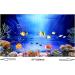 Hidom Aquarium Background Poster Double Sided - Height 19" / 50cm - Length 6 FT / 183cm - Two Scenic Pictures displaying Aquatic Backdrops - DS 500-9081/9083 - Buy Online on GoSupps.com