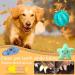 Mulevip 20 PCs Dog Toy Set - Interactive Rope Toys & Chew Balls for All Dog Sizes | Durable & Engaging Pet Play - Buy Online on GoSupps.com