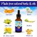 Organic Natrulo Kids Ear Drops | Ear Infection Treatment & Relief - Made in USA - Buy Online on GoSupps.com