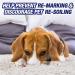 Resolve Urine Destroyer 32oz Spray, 2-Pack - Pet Stain & Odor Remover - Buy Online on GoSupps.com