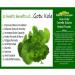 100g Brahmi Powder | Vallarai Podi | Mandukaparni | Gotu Kola - Pure and Natural - Buy Online on GoSupps.com