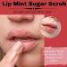 Lip Scrubs Kit: Mint Lip Sugar Scrub and Exfoliator for Dry, Chapped Lips - 2 Pack - Buy Online on GoSupps.com