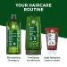 Yves Rocher Fortifying Density Shampoo - Cleanse Scalp & Strengthen Hair | 10.1 fl oz - International Shipping Available - Buy Online on GoSupps.com