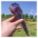 Room Decoration 400-1.2kg Natural Amethyst Quartz Cluster Crystal Rod Point Specimen Scepter Power Gemstone (Color : 700-800g)