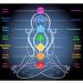 Shop Ashopfun 7 Chakras Bracelet | Lymphatic Drainage Health Bangle for Men & Women - Buy Online on GoSupps.com