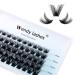 Individual Lashes D Curl Cluster Lashes 0.07mm 8-16mm Mixed DIY Lash Extensions Wide Stem Individual Eyelash Clusters Reusable Soft and Wispy Clusters Eyelash Extensions(FD-ZW06-0.07-D8-16) RR-8-16mm ZW06-0.07-D