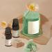 Buy Sonew 2-Piece Stone Essential Oil Diffuser - 20ml Flameless Aroma Diffuser | Maiden Lily of the Valley for Home Office & Bedroom - Buy Online on GoSupps.com