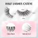 Parrarri 3D Cat Eye Half Eyelash - 10 Pairs of Transparent Band Artificial Lashes | Light Fake Eyelashes H-10 for Stunning Looks - Buy Online on GoSupps.com
