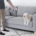Pet-Friendly Carpet Shampoo: Removes Stains in 60 Seconds - Made in USA - Vet Approved - 16oz Spray - Buy Online on GoSupps.com