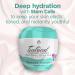 TEATRICAL Facial Moisturizer with Buddleja Davidii Stem Cells - 8 oz | Hydrating Floral Formula for All Skin Types | International Shipping Available - Buy Online on GoSupps.com