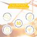 BioProphyl Joint Wellbeing - 400 mg Frankincense 85% Boswellia Serrata Capsules | Supports Joint Health | 60 Capsules | Fast International Shipping - Buy Online on GoSupps.com