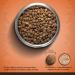 Zo Dry Dog Food Medium Breed Turkey/Chickpea/Sweet Potato Recipe 5 kg 92927 - Buy Online on GoSupps.com