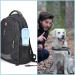 Edoxus Multifunctional Dog Water Bottle - Portable Drinking Bottle for Dogs & Cats - Ideal for Hiking (Gray) - Buy Online on GoSupps.com
