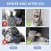 Anogol Cat Repellent Spray Effective Cat Deterrent Spray with Bitter Prevent Cats from Scratching Plants & Furniture Suit for Indoor & Outdoor White-blue - Buy Online on GoSupps.com